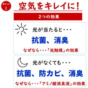 光触媒 胡蝶蘭 5本立ち 大輪 豪華 ギフト ...の詳細画像5