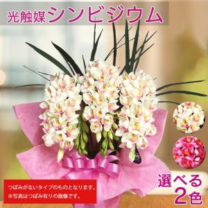 シンビジウム M 造花 光触媒 開店祝い シンビジューム