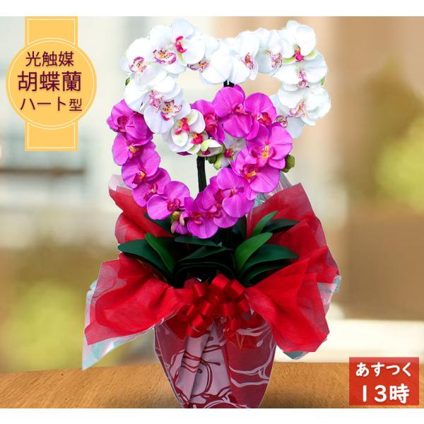 母の日 胡蝶蘭 造花 光触媒 開店祝い ハート M 白 ホワイト 黄色 イエロー ピンク ワイン 紫...