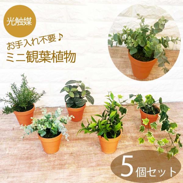 光触媒 フェイクグリーン 5個セット 卓上サイズ 観葉植物 インテリア 鉢植え おしゃれ 造花 ギフ...