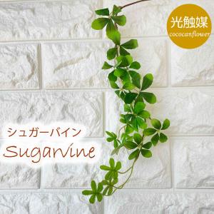 光触媒 観葉植物 シュガーバイン フェイクグリー...の商品画像