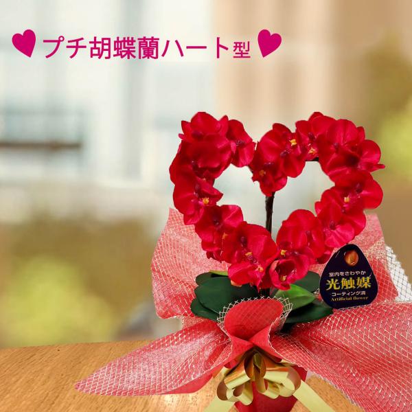 光触媒 プチ胡蝶蘭 ハート型 マイクロ ミニサイズ ギフト 卓上 インテリア プレゼント 枯れない胡...