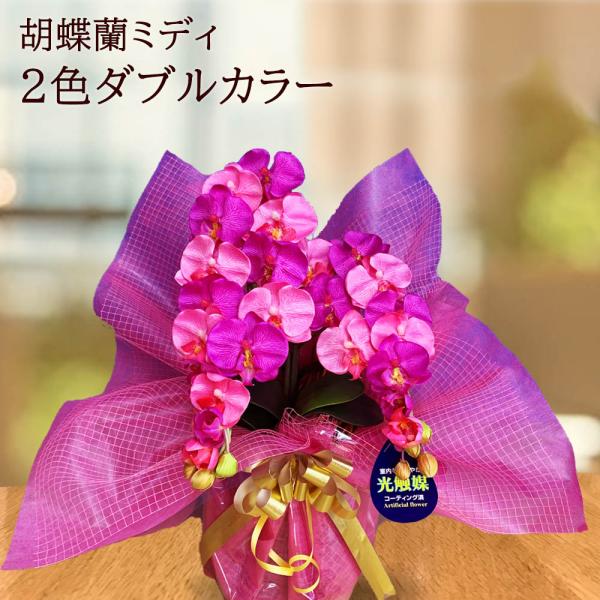 光触媒 胡蝶蘭 ミディ ダブルカラー 2色展開 造花 ギフト お祝い 鉢植え インテリア フェイクフ...