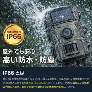 防水 トレイルカメラ 高画質 暗視対応 屋外 ...の詳細画像2