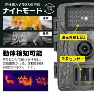 防水 トレイルカメラ 高画質 暗視対応 屋外 ...の詳細画像4