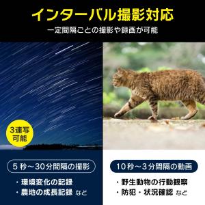 防水 トレイルカメラ 高画質 暗視対応 屋外 ...の詳細画像5