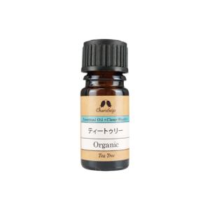 ペパーミント 1000ml インセント エッセンシャルオイル 精油 (PRO USE