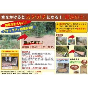 魔法の土★カチカチ君 1袋 ★代引不可ご了承済★の詳細画像1