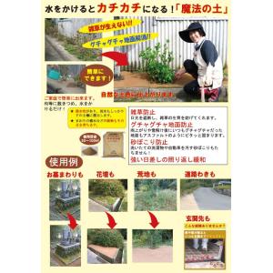魔法の土★カチカチ君 1袋 ★代引不可ご了承済★の詳細画像2