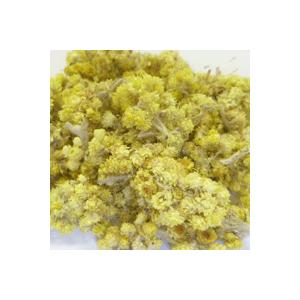 エバーラスティングフラワー ホール Wh 500g Khabarbani Com