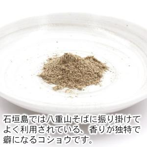 ピパーツ 35g /ヒハツ 胡椒 コショウ ピ...の詳細画像1