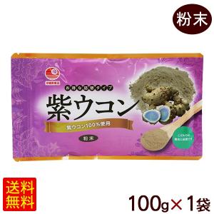 紫ウコン粉末 100g×1袋　/比嘉製茶 ガジュツ （M便）｜cocochir