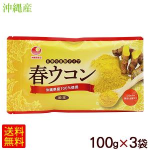 春ウコン粉末 100g×3袋　/比嘉製茶 沖縄産100％ 国産 （M便）｜cocochir