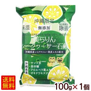 パパイヤ石けん 100g /洗顔 無添加 手作り 石鹸 沖縄産 みなしょう