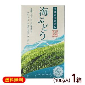 海ぶどう 100g×2箱 /箱入 タレなし 沖縄産 お土産 グローアップ