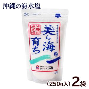 ☆沖縄応援☆チューリップポーク エコパック18個（1個345円）うす塩味340g チューリップポーク 海ぶどうの通販なら『金ちゃんちの海ぶどう』