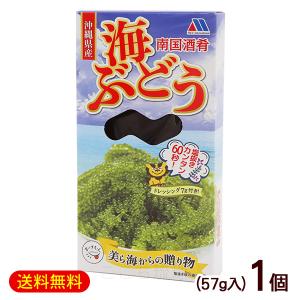 南国酒肴 海ぶどう タレ付き 100g×1個　/塩水漬け 沖縄...