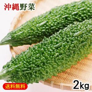 沖縄産 ゴーヤ 2kg　（ゴーヤー にがうり）