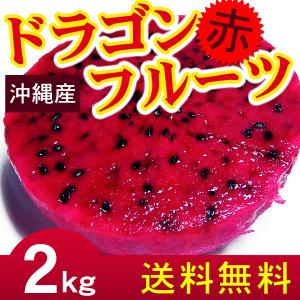 沖縄産 ドラゴンフルーツ 赤 レッド 2kg（4〜8玉） 自宅用