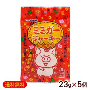 ミミガージャーキー 23g×5個　/オキハム（M便）