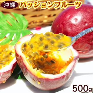 パッションフルーツ 約500g（5〜10玉）　/沖縄産 ご自宅用