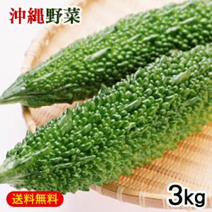 沖縄産 ゴーヤ 3kg　/ ゴーヤー にがうり