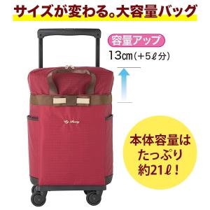 オリジナル スワニーウォーキングカート 新聞広...の詳細画像4