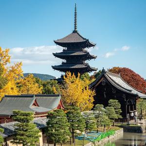 京都探訪 DVD全10巻の詳細画像3