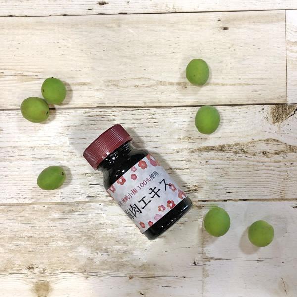 梅肉エキス 長野県 竜峡小梅 100% 使用 スプーン付き 40g