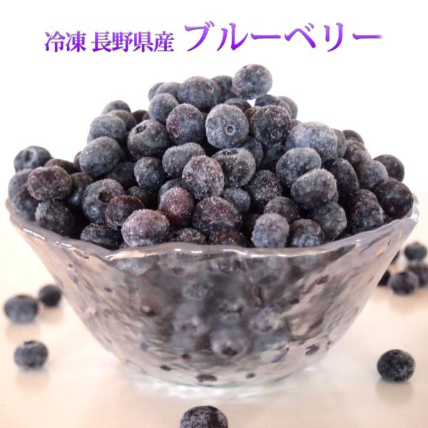 フルーツ ブルーベリー 国産 長野県 冷凍 フルーツ たっぷり 大容量 600g