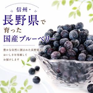フルーツ ブルーベリー 国産 長野県 冷凍 フ...の詳細画像1