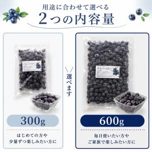 フルーツ ブルーベリー 国産 長野県 冷凍 フ...の詳細画像2