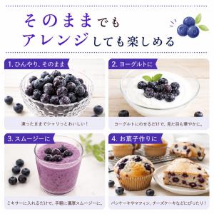 フルーツ ブルーベリー 国産 長野県 冷凍 フ...の詳細画像3