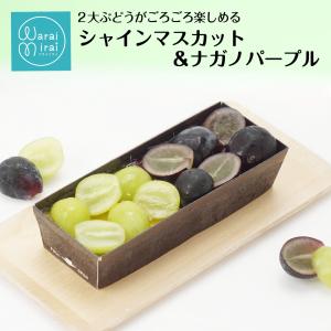 シャインマスカット 巨峰 1本で2度おいしい ...の詳細画像1