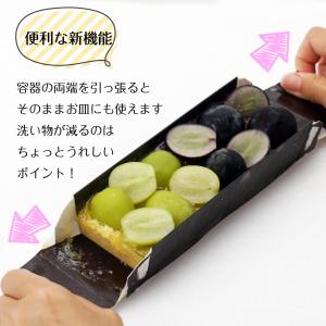 シャインマスカット 巨峰 1本で2度おいしい ...の詳細画像4