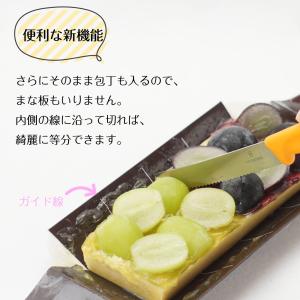 シャインマスカット 巨峰 1本で2度おいしい ...の詳細画像5