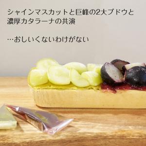 シャインマスカット 巨峰 1本で2度おいしい ...の詳細画像3