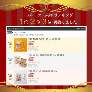 干し柿 市田柿 ドライフルーツ 訳あり 信州産...の詳細画像1