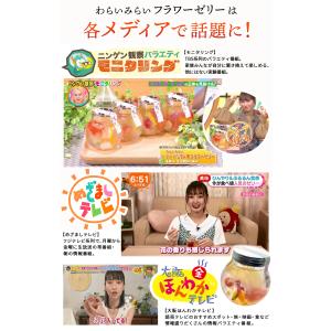 ハロウィン テレビ紹介 お取り寄せ フラワー ...の詳細画像1