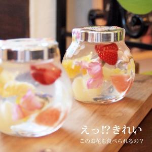 テレビ紹介 お取り寄せ フラワー ゼリー フル...の詳細画像3