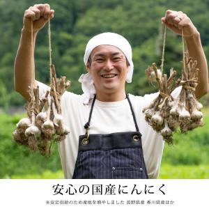 送料無料 黒にんにく 国産 健康食品 黒ニンニ...の詳細画像5