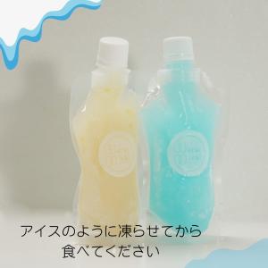 お中元 SNS映え 溶けないアイス 持ち歩ける...の詳細画像1