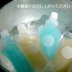 お中元 SNS映え 溶けないアイス 持ち歩ける...の詳細画像2