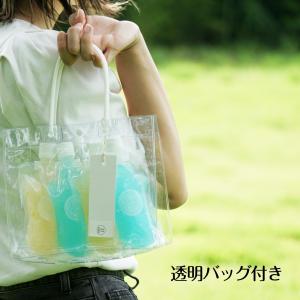 お中元 SNS映え 溶けないアイス 持ち歩ける...の詳細画像5