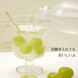 シャインマスカット ぶどう フルーツ ゼリー ...の詳細画像5