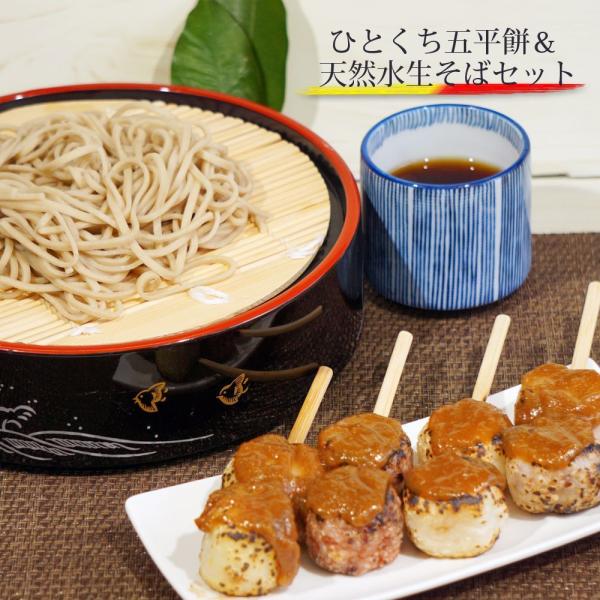 送料無料 信州そば 信州蕎麦 つゆ付き ＆ ひとくち 五平餅 お試し セット