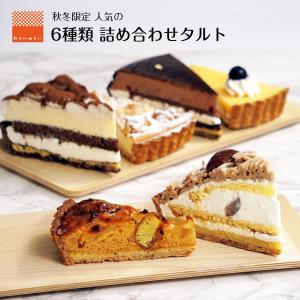 タルト 詰め合わせ ギフト タルトケーキ 6個 ギフト チョコタルト フルーツタルト 母の日 2022｜cocodani