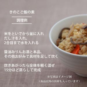 送料無料 1000円 ポッキリ 乾燥野菜 国産...の詳細画像5
