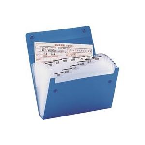 キングジム ドキュメントファイル(エコノミータイプ) A5 13ポケット 青 ケースファイル 書類ケ...