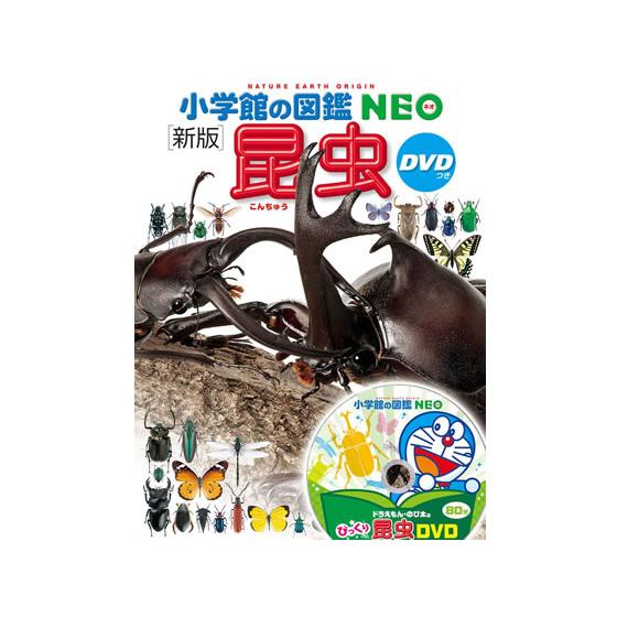 小学館 新版 昆虫 DVDつき 絵本 児童書 本 書籍